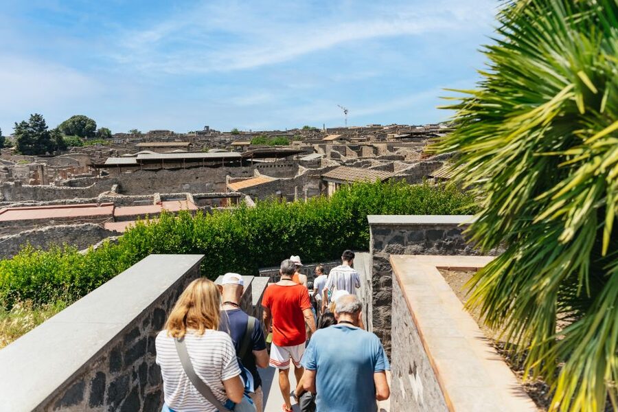 From Naples: Pompeii Ruins & Mount Vesuvius Day Tour - Mount Vesuvius: a short hike with a big view