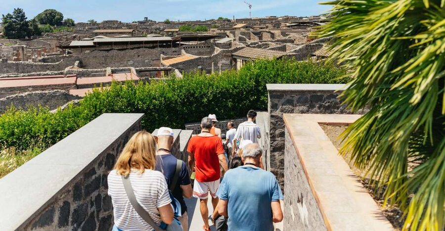 From Naples: Pompeii Ruins & Mount Vesuvius Day Tour - Price and value at $120.84