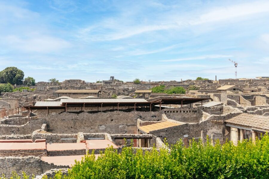 From Naples: Pompeii Ruins & Mount Vesuvius Day Tour - Who will enjoy this day most?