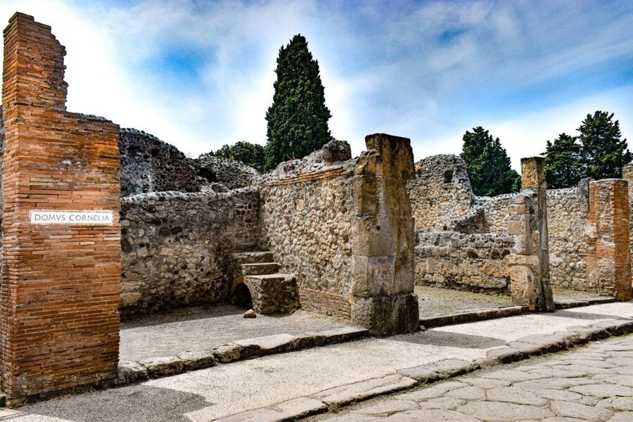 From Naples: Ruins of Pompeii - Price, time, and what you receive