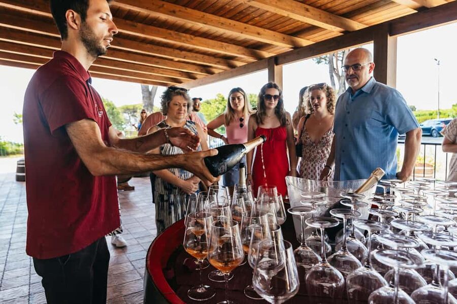 From Naples: Wine Tasting Tour on Vesuvius Slopes with Lunch - How much wine expertise will you gain?