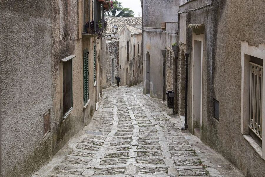 From Palermo: Erice, Salt Pans, and Segesta Day Trip - Guides, drivers, and the group atmosphere