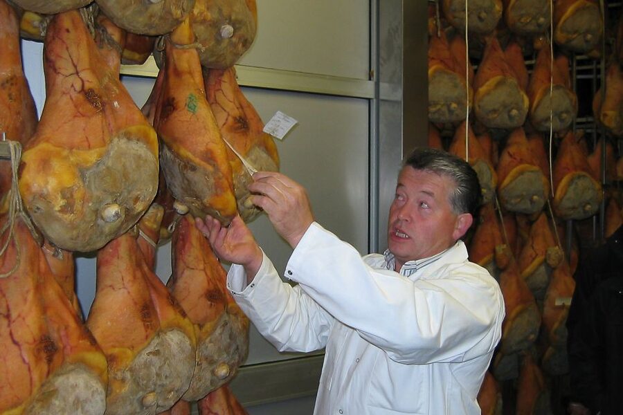 From Parma: Parmesan, Parma Ham & Balsamic Vinegar Tour - A real Emilia-Romagna lunch