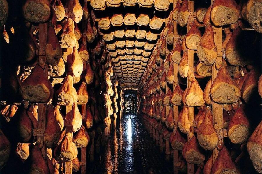 From Parma: Parmesan, Parma Ham & Balsamic Vinegar Tour - What the $220.91 price covers