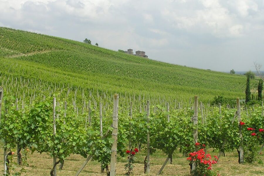 From Parma: Parmesan, Parma Ham & Balsamic Vinegar Tour - Who will enjoy this tour most