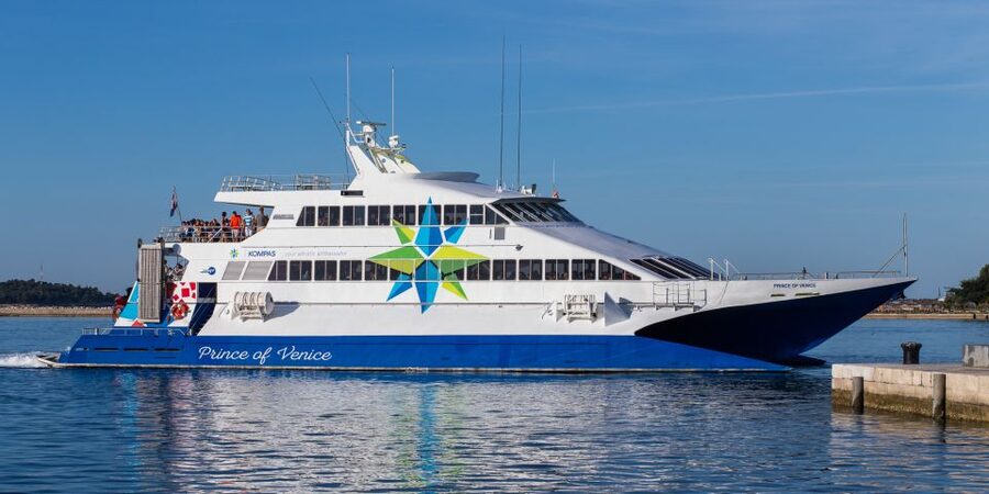 From Porec: Venice Catamaran Crossing One-Way or Round-Trip - Arriving through the Venice Lagoon