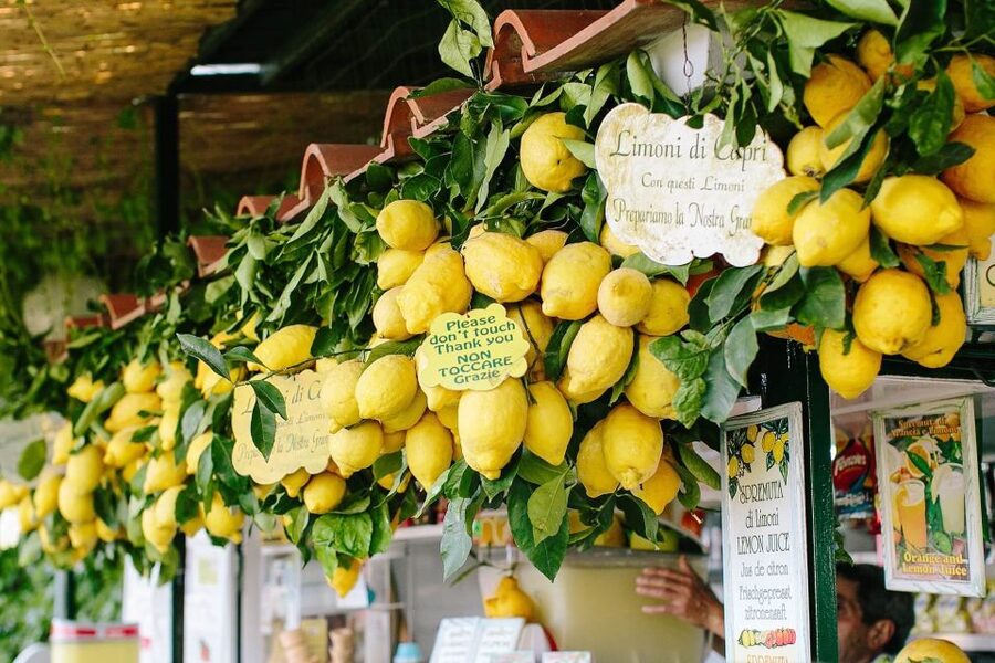 From Positano: Sorrento Coast & Capri Full-Day Trip by Boat - Who should book this boat trip?