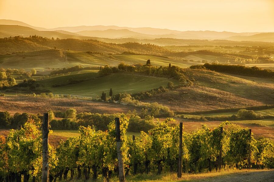 From Rome: Discover Florence and Pisa in a Full-Day Tour - The Ride North Through Central Italy