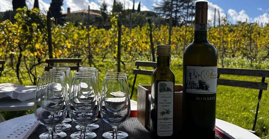 From Rome: Half-Day Frascati Wine Tour with Farmhouse Lunch - Walking Frascati before the vines