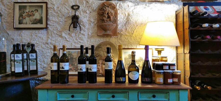 From Rome: Half-Day Frascati Wine Tour with Farmhouse Lunch - Three wines, olive oil, and a generous table