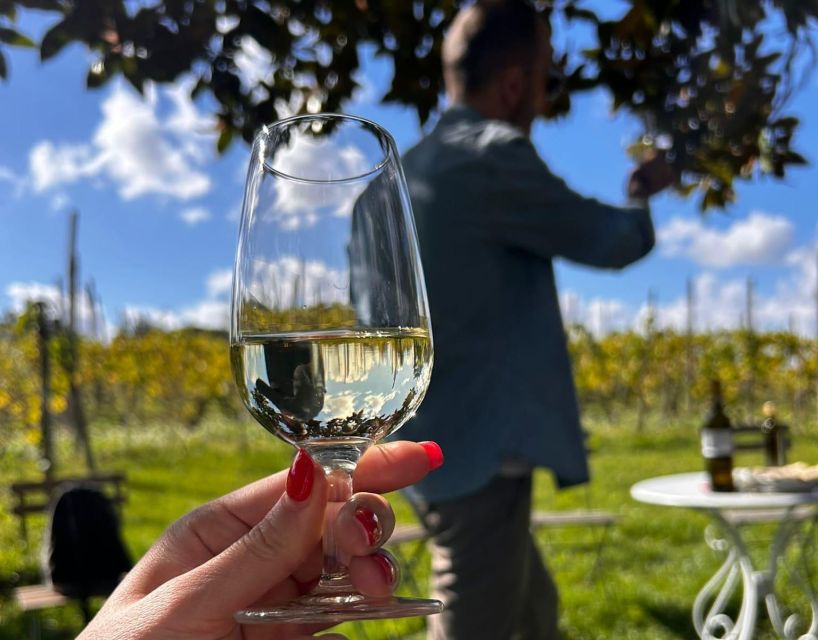 From Rome: Half-Day Frascati Wine Tour with Farmhouse Lunch - Who will enjoy this most