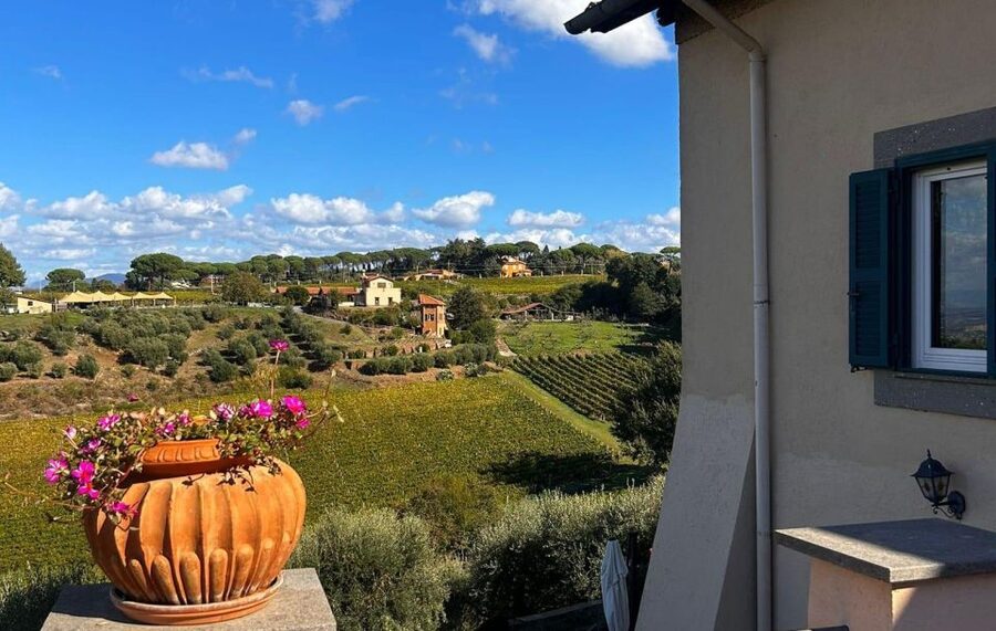 From Rome: Half-Day Frascati Wine Tour with Farmhouse Lunch - What to bring and how to plan the day