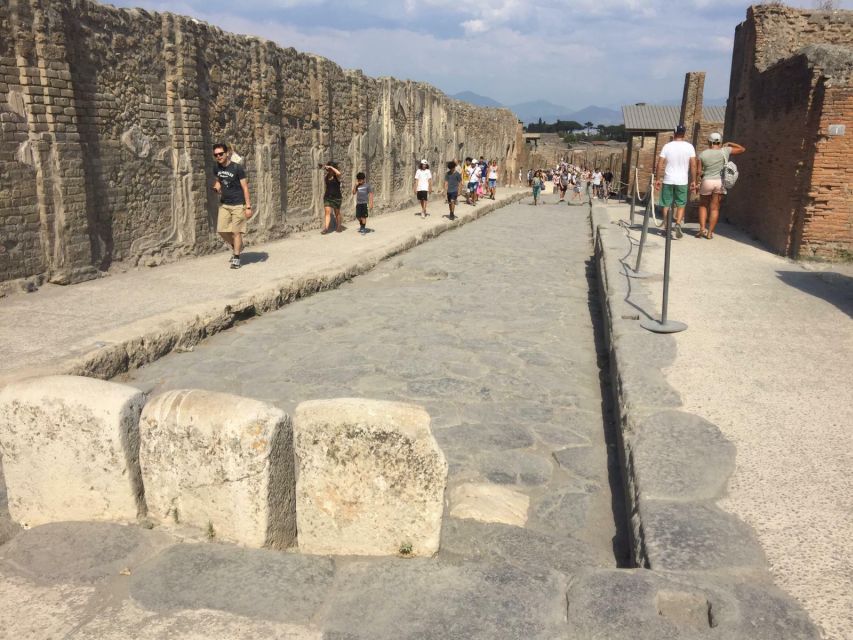 From Rome: Pompeii All-Inclusive Tour with Live Guide - Who will get the most from this tour?