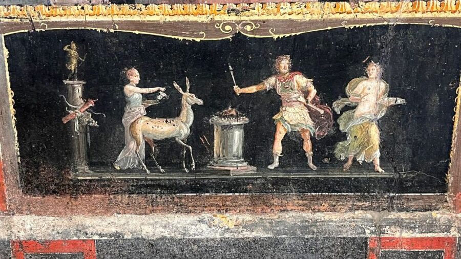 From Rome: Pompeii and Naples Day Trip by High-Speed Train - Pizza lunch near Pompeii