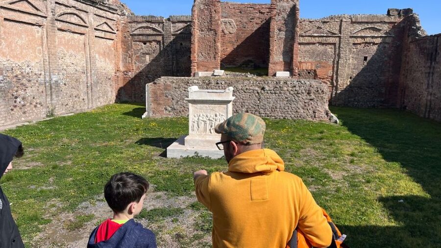 From Rome: Pompeii and Naples Day Trip by High-Speed Train - Seeing Naples from Posillipo to Piazza del Plebiscito