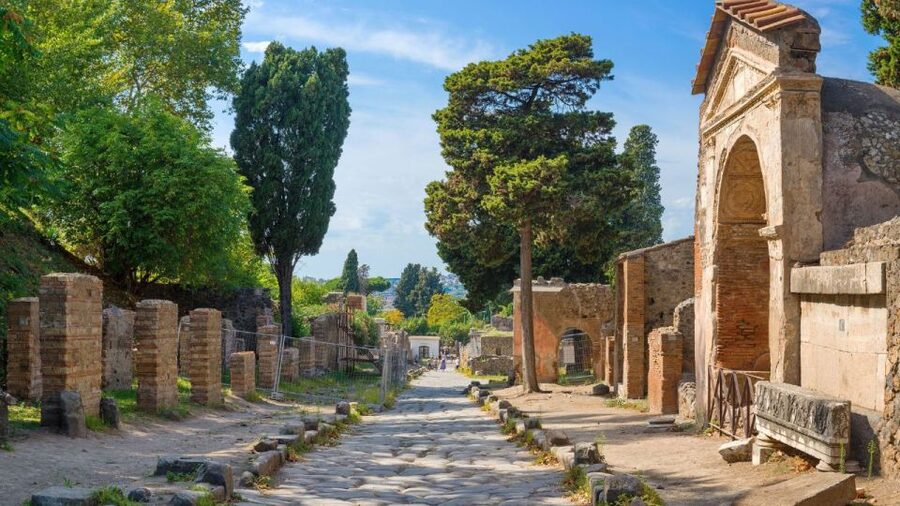 From Rome: Pompeii and Naples Day Trip by High-Speed Train - Who should book this excursion?