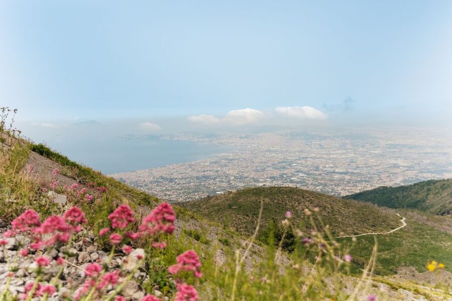 From Rome: Pompeii Day Trip with Optional Vesuvius and Lunch - Who will enjoy this day most