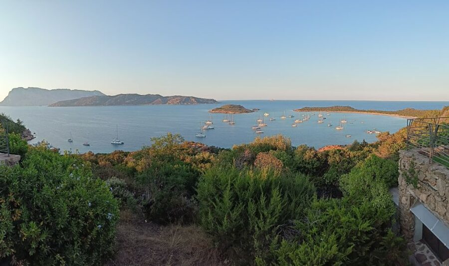 From San Teodoro: Tavolara Archipelago Grand Tour - Six details that shape the day