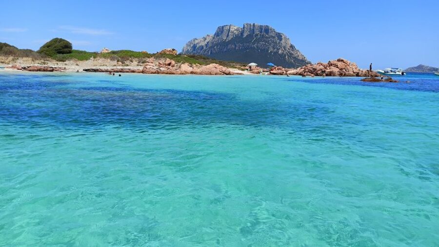 From San Teodoro: Tavolara Archipelago Grand Tour - Is the $84.96 price good value?