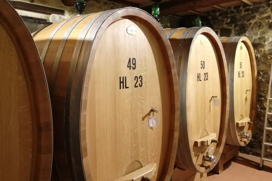 From Siena: Brunello di Montalcino Guided Wine Tour W/ Lunch - Who should book this Montalcino day trip?