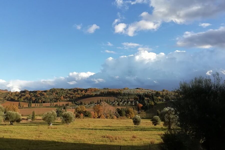 From Siena: Brunello di Montalcino Guided Wine Tour W/ Lunch - What the $203.91 price really covers