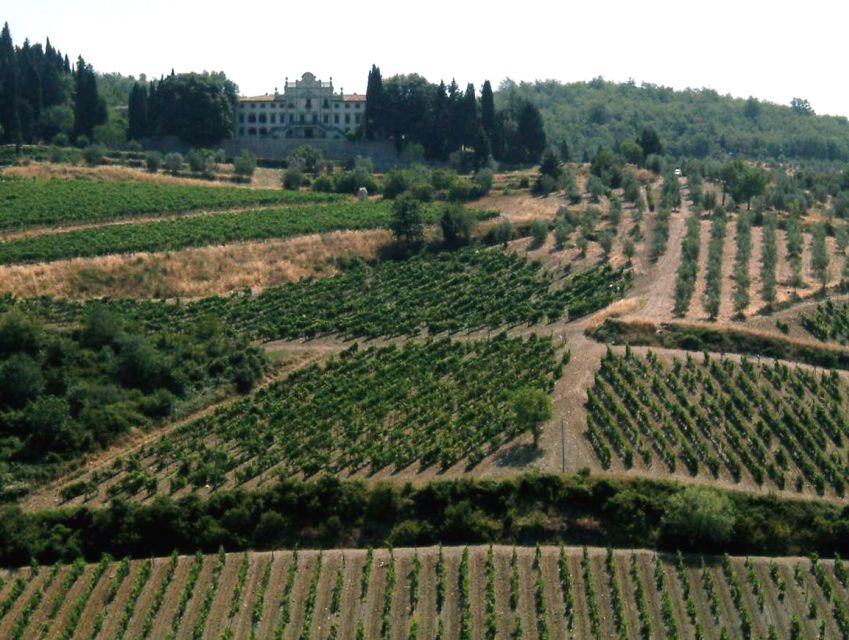 From Siena: Chianti and Castles Tour with Wine Tastings - Key points at a glance