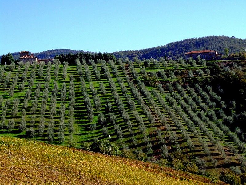 From Siena: Chianti and Castles Tour with Wine Tastings - Monteriggioni and its famous ring of walls