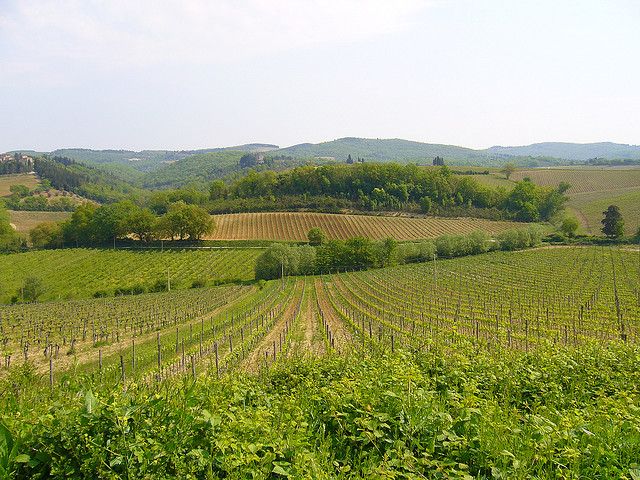 From Siena: Chianti and Castles Tour with Wine Tastings - The second winery, often smaller and more relaxed