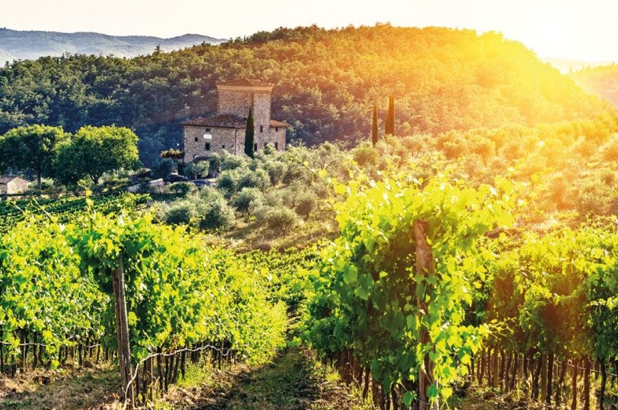From Siena: Chianti and Castles Tour with Wine Tastings - The views are a major part of the value