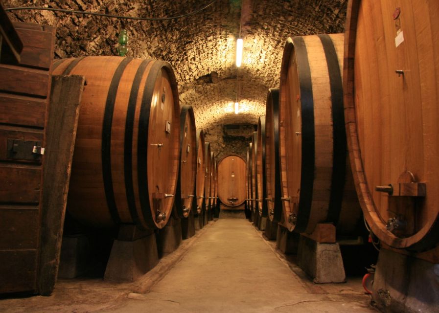 From Siena: Chianti and Castles Tour with Wine Tastings - Who will get the most from this tour