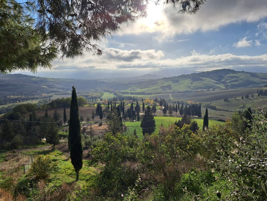 From Siena: Pienza and Montepulciano Small-Group Tour - Pienza, Pope Pius II’s planned town