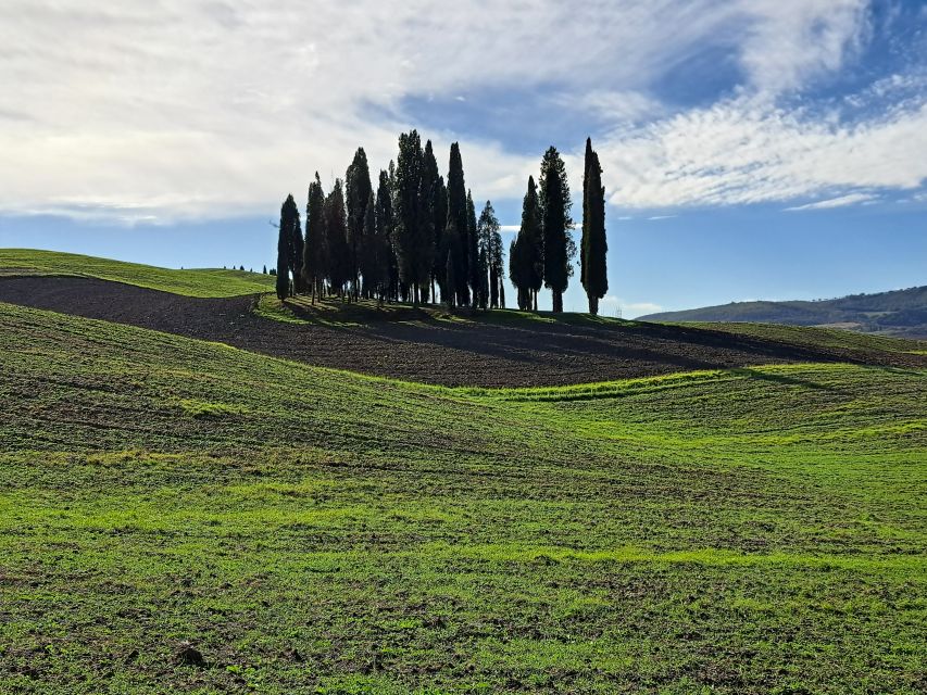 From Siena: Pienza and Montepulciano Small-Group Tour - Practical details before you go