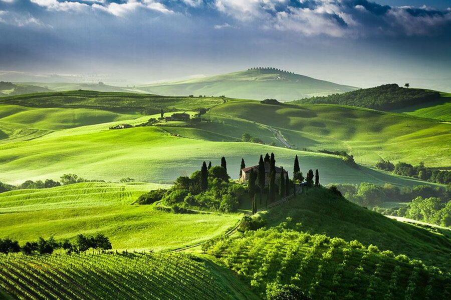 From Siena: Tuscany Hills Wine Tour - Montepulciano and Its Nobile Wine