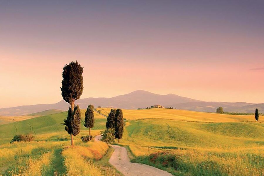 From Siena: Tuscany Hills Wine Tour - Walking, Food, and Other Practical Details