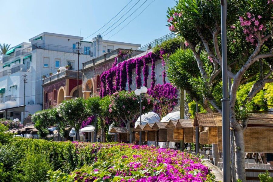 From Sorrento: Capri, Anacapri, & Blue Grotto Full-Day Trip - The Piazzetta and Capri Town