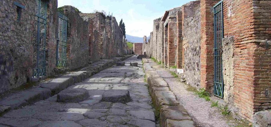 From Sorrento: Day Tour to Pompeii Ruins and Mount Vesuvius - Language and guide quality