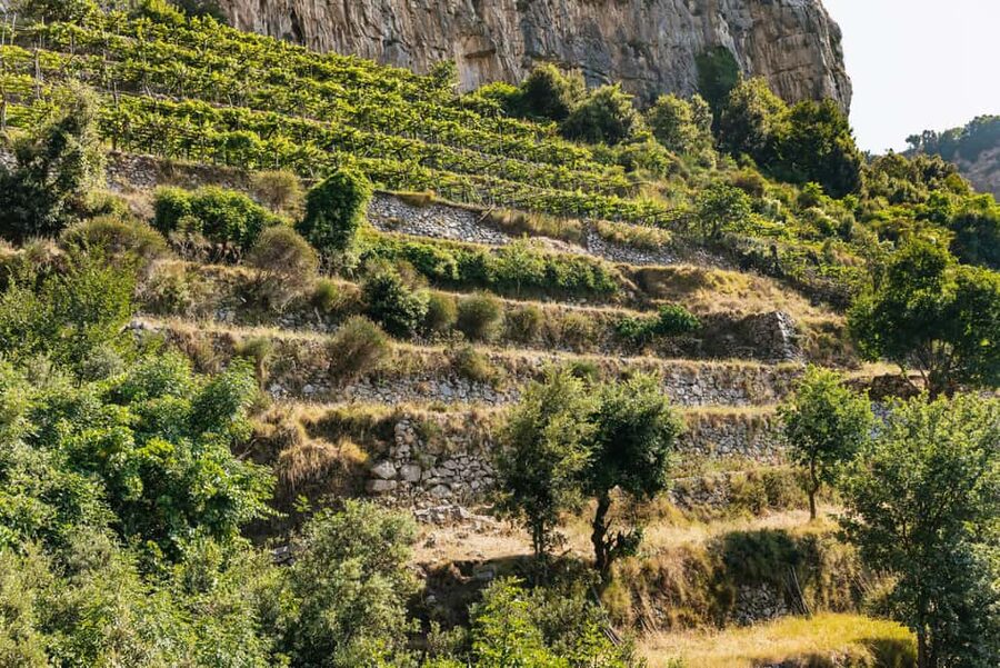 From Sorrento: Path of the Gods Guided Hike with Transfers - The shepherd’s hut stop