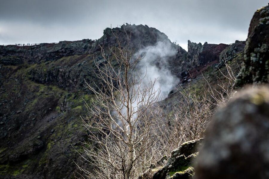 From Sorrento: Pompeii and Vesuvius Guided Tour with Lunch - Should you book the Vesuvius and Pompeii tour?