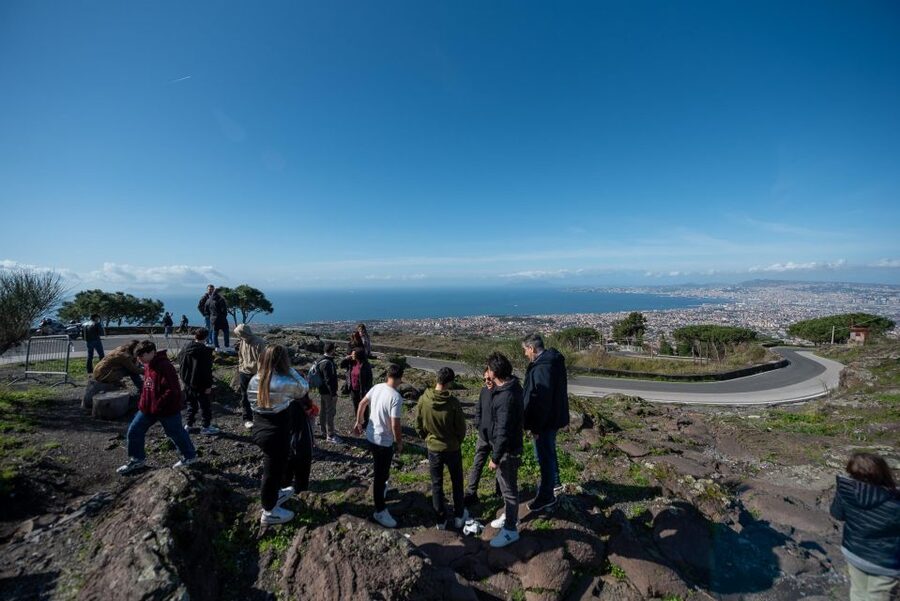 From Sorrento: Pompeii and Vesuvius Guided Tour with Lunch - Price, pace, and what you receive