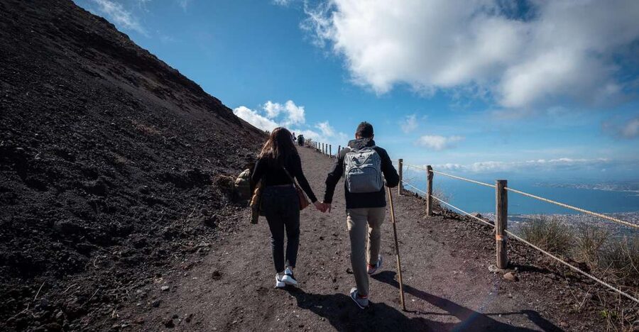 From Sorrento: Pompeii and Vesuvius Guided Tour with Lunch - Who should book this day out