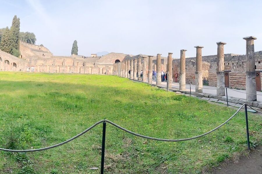 From Sorrento: Pompeii and Vesuvius Tour - The guides make the difference