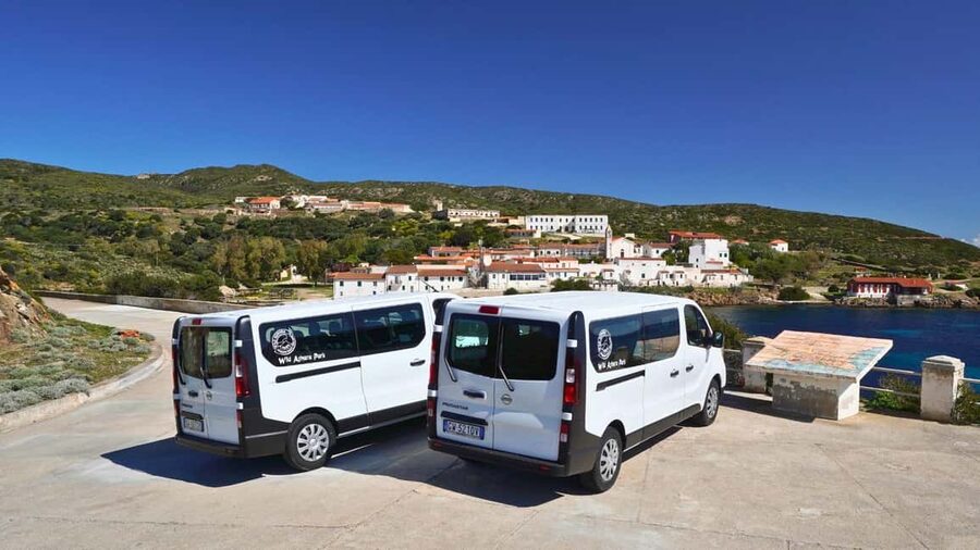 From Stintino: Asinara minivan tour - Why Asinara is worth a full day from Stintino