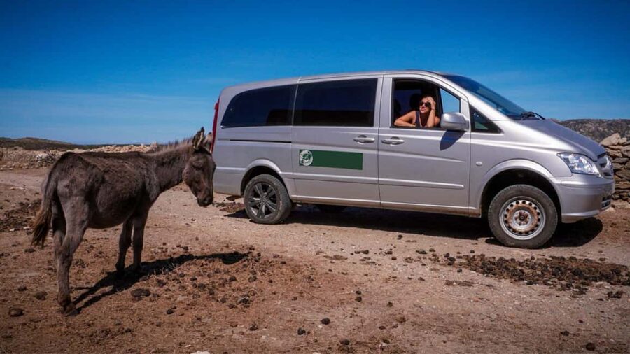 From Stintino: Asinara minivan tour - The return route and what the transport is really like