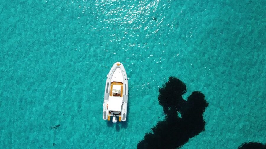 From Stintino: Half-day dinghy tour in Asinara Gulf - Key points to know before booking