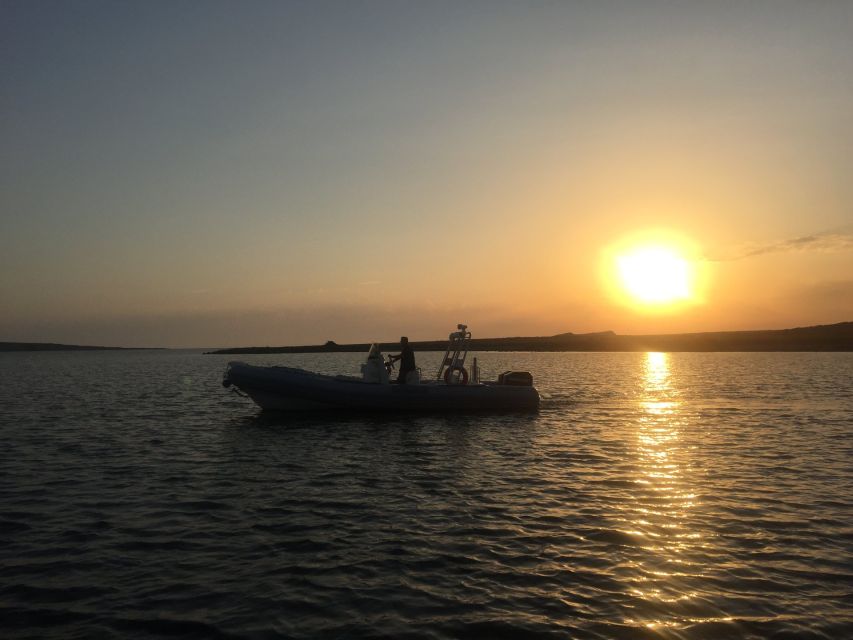 From Stintino: Half-day dinghy tour in Asinara Gulf - Who should book this outing?