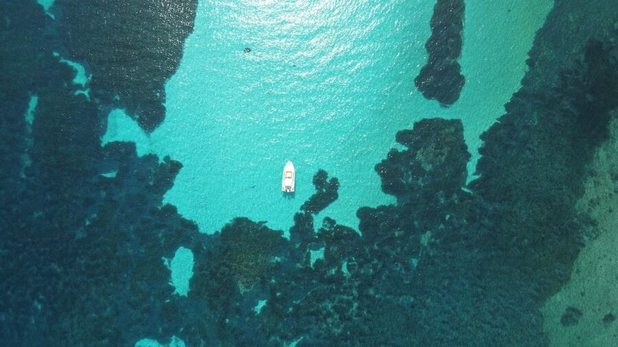 From Stintino: Half-day dinghy tour in Asinara Gulf - From Isola Piana to Mare di Fuori