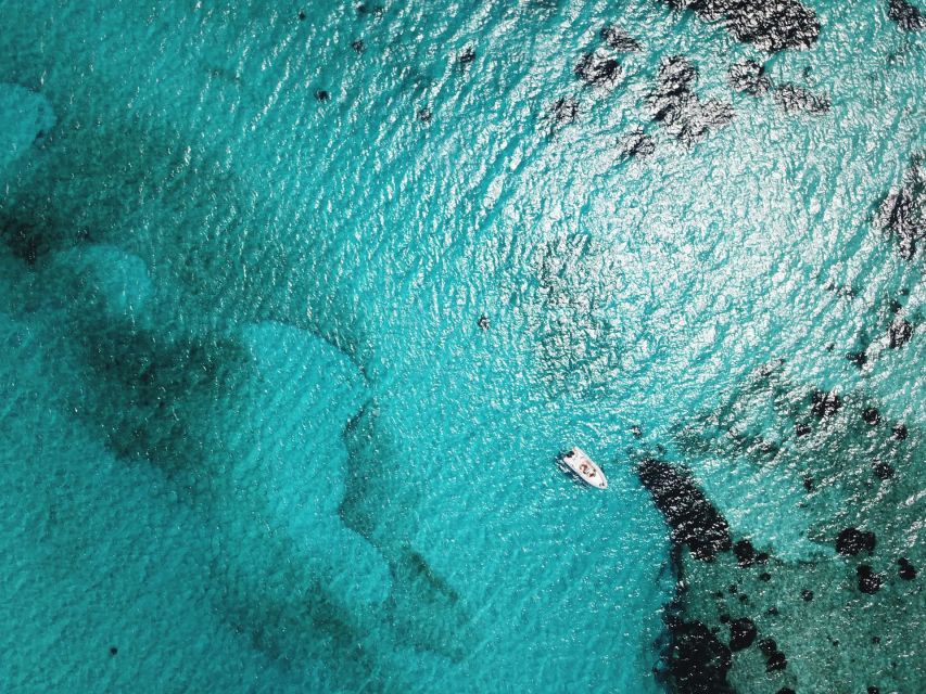 From Stintino: Half-day dinghy tour in Asinara Gulf - The natural swimming pools of Fornelli