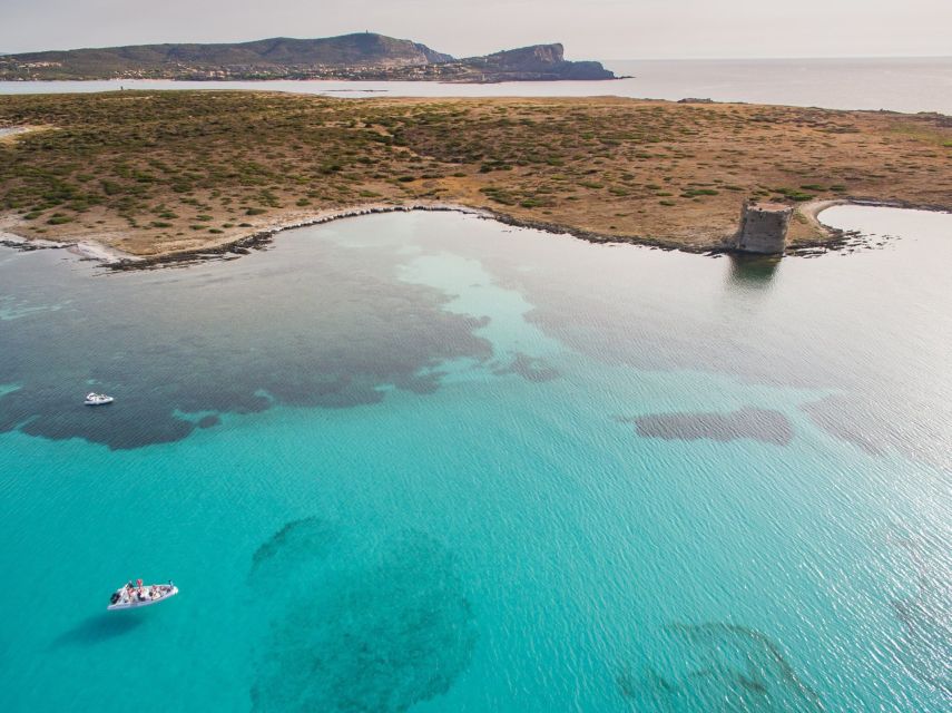 From Stintino: Half-day dinghy tour in Asinara Gulf - Seeing La Pelosa and its famous tower