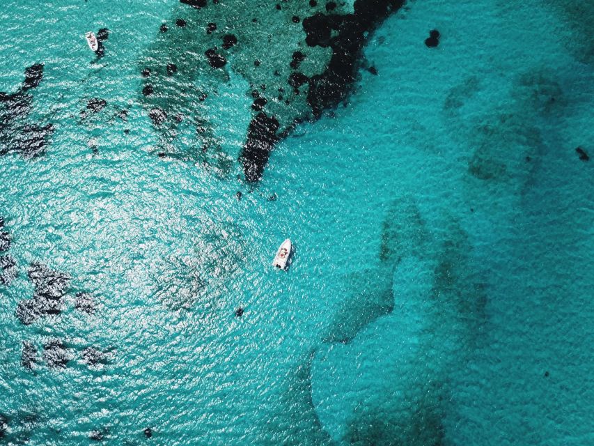 From Stintino: Half-day dinghy tour in Asinara Gulf - Capo Falcone, Roccia Forata, and Porri Island