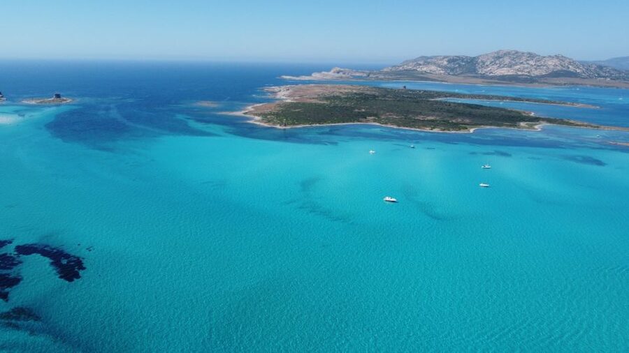 From Stintino: Half-day dinghy tour in Asinara Gulf - What the skipper adds to the experience